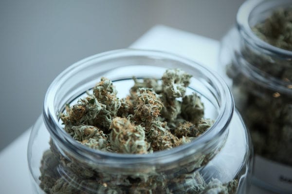 Jar with cannabis buds inside; highlighting the traditional method of curing cannabis in jars